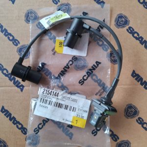 2154144 CHICOTE CABOS